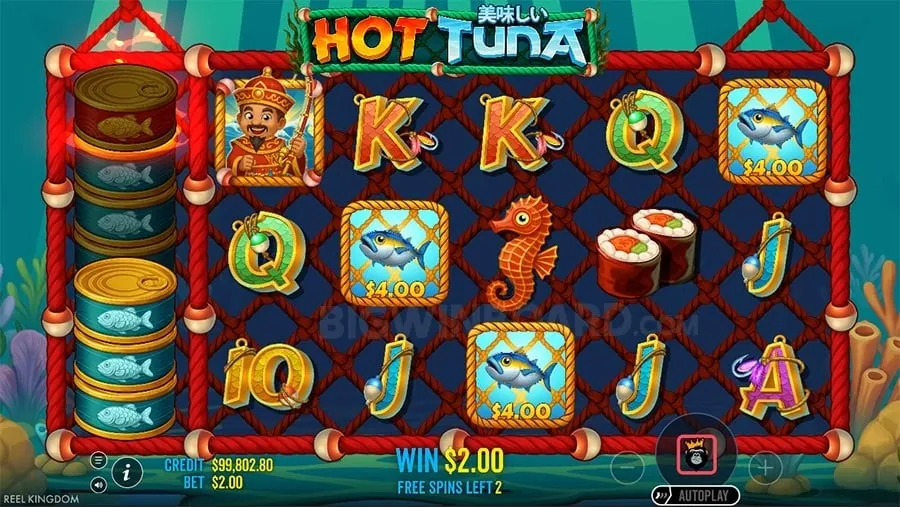 Daily Free Spins